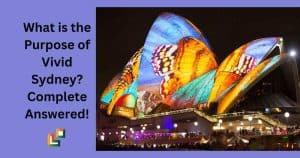 What is the Purpose of Vivid Sydney