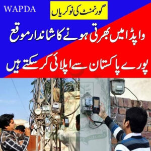 Apply wapda jobs from anywhere